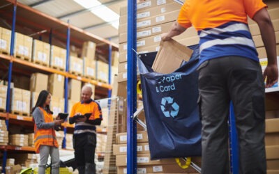 Embracing Sustainability in Warehousing: Strategies for Environmental Responsibility